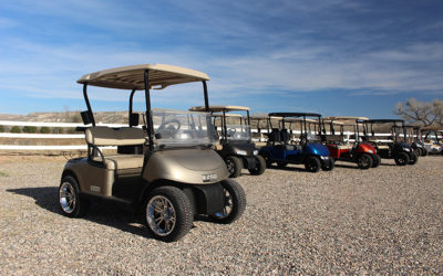 2014 EZGO RXV’s Golf Cart – Almond Pearl